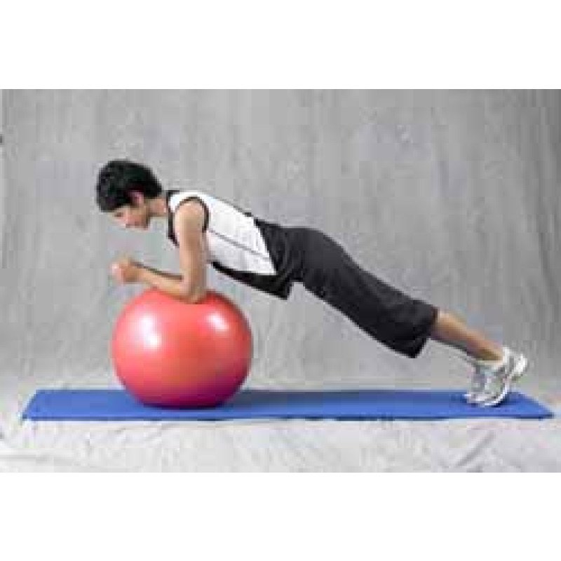 Pro Series Exercise Ball Prone Bridge