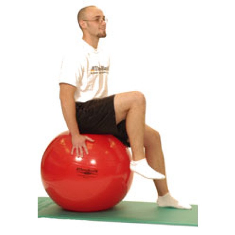 Pro Series Exercise Ball Sitting Hip Flexion